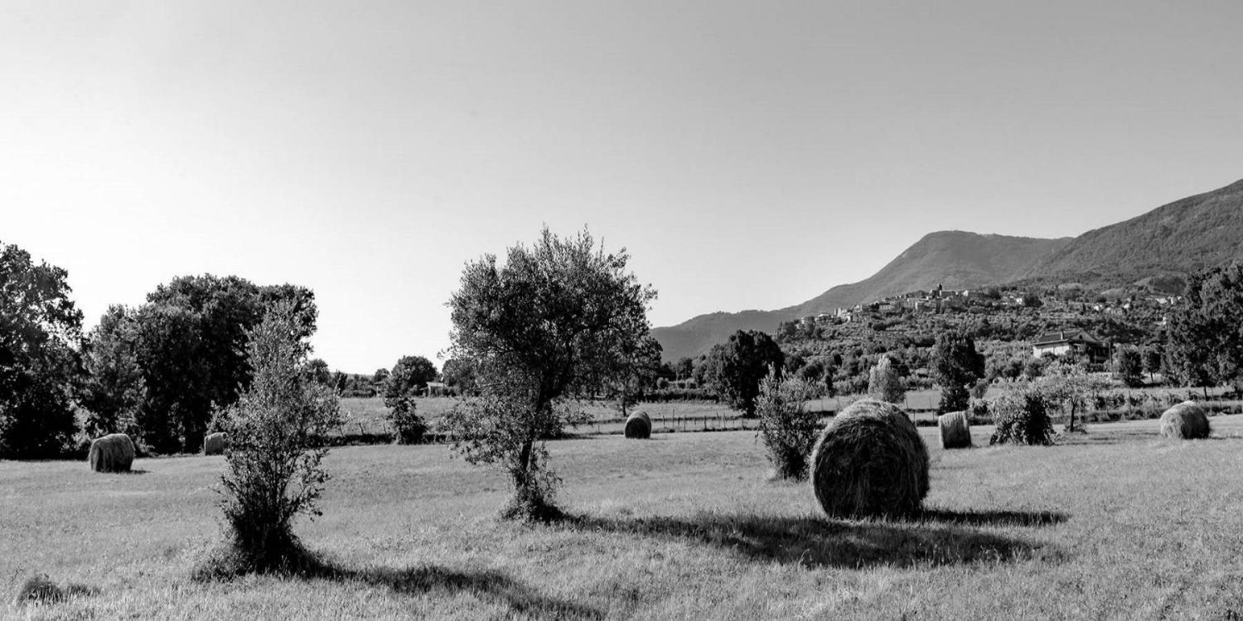 B&B Vico Suites Vico nel Lazio Kültér fotó